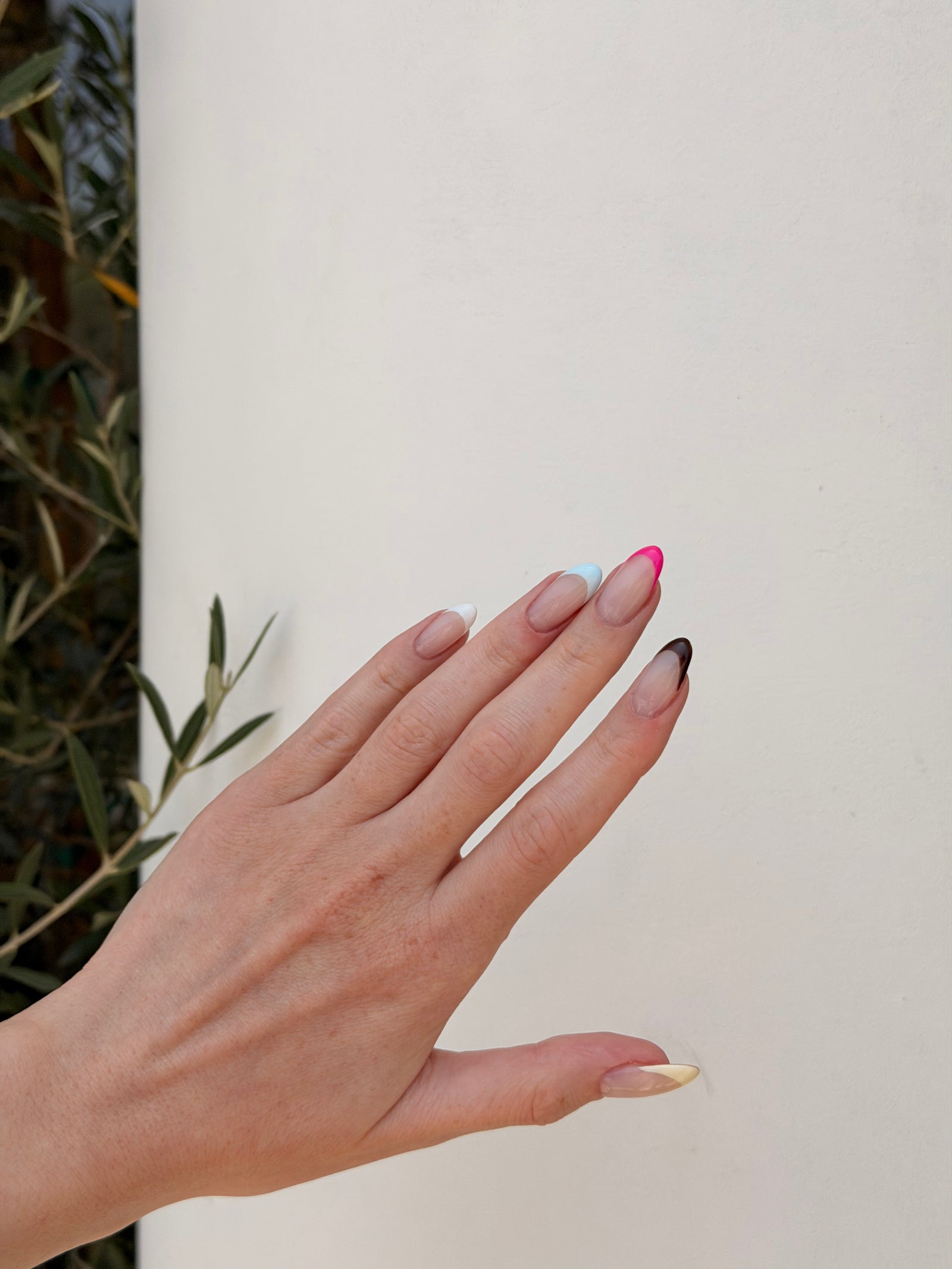 Fresh French manicure created at All Six