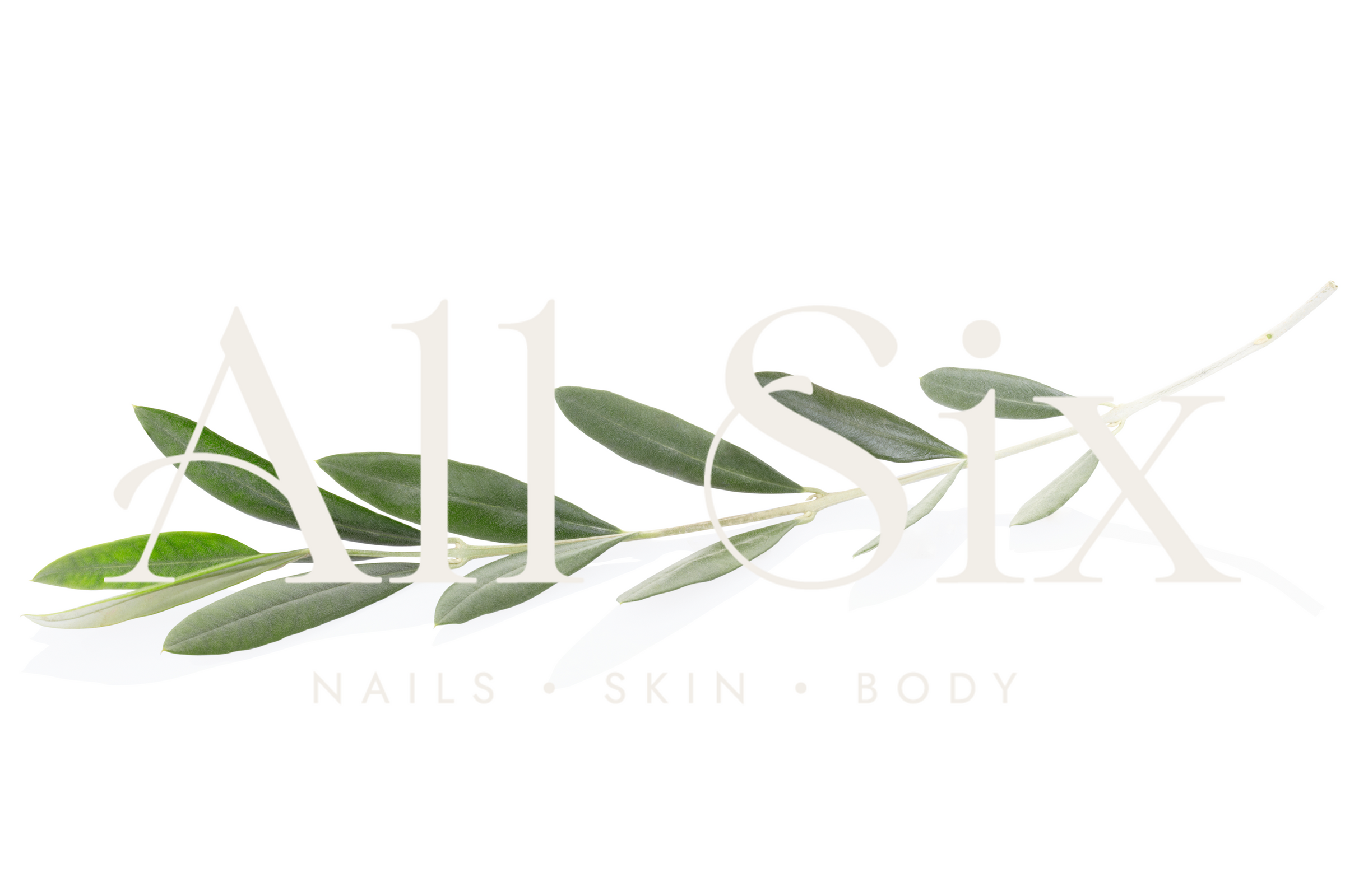 All Six Nails Skin Body logo with an olive branch