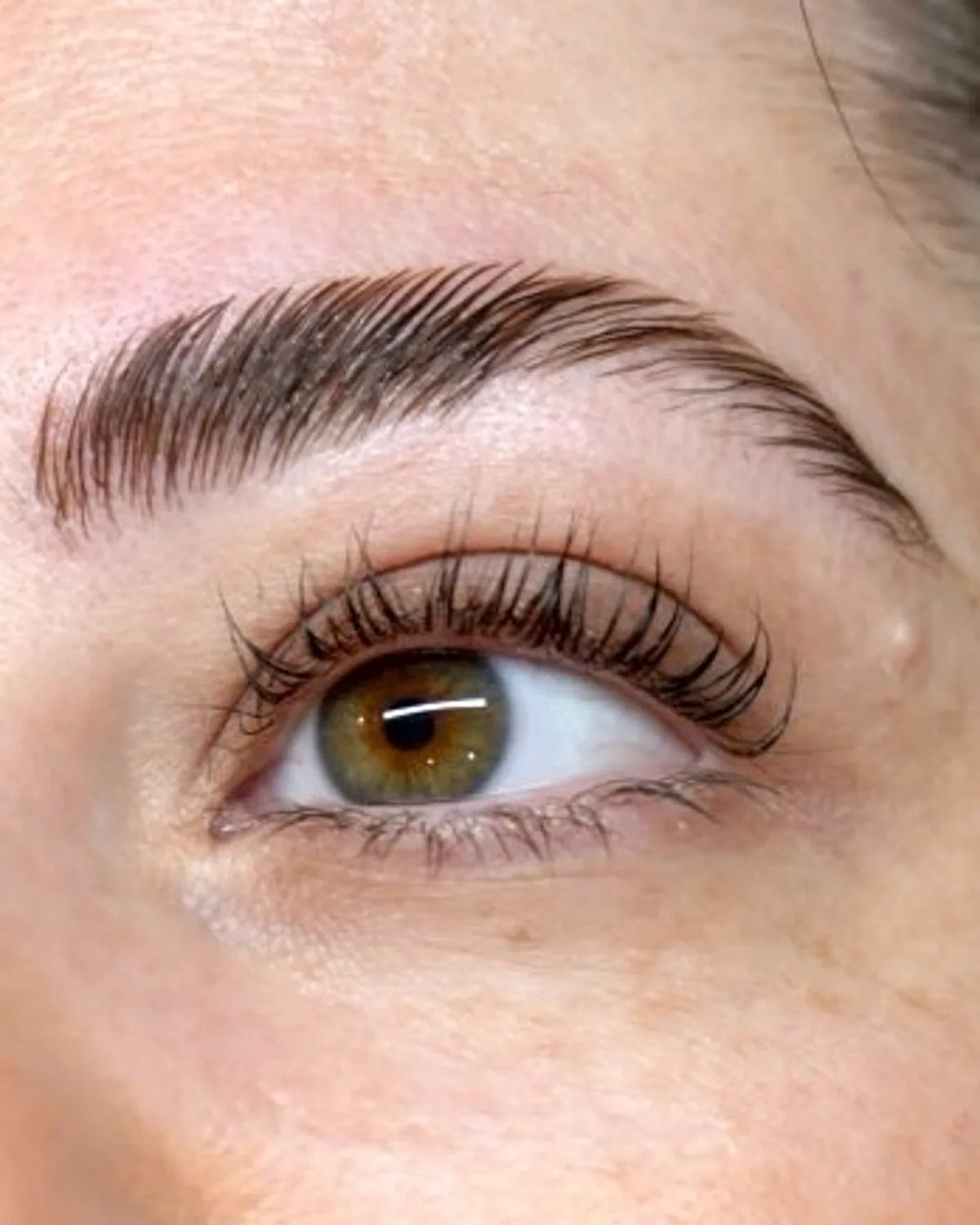 Eyebrows